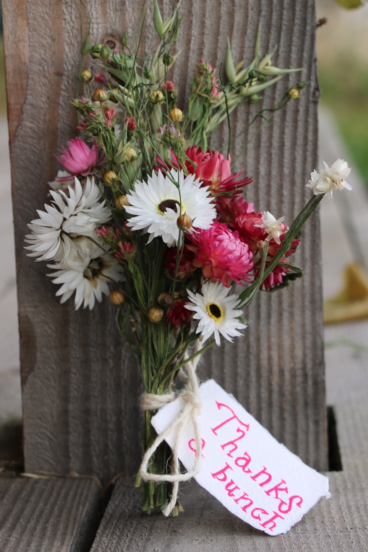 Mini Dried Flower Posy~ with hand painted tag ‘Thanks A Bunch’