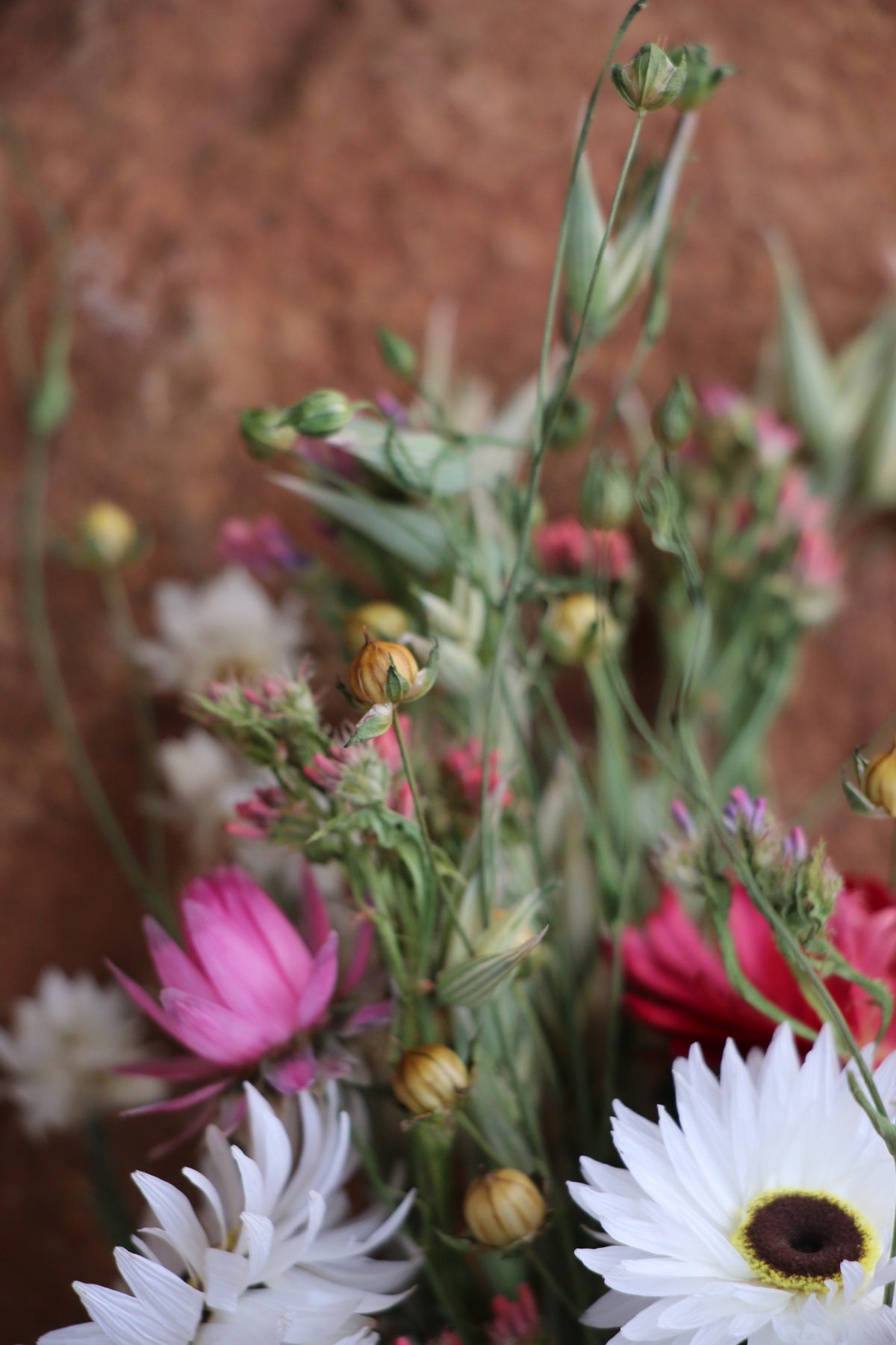 Mini Dried Flower Posy~ with hand painted tag ‘Thanks A Bunch’