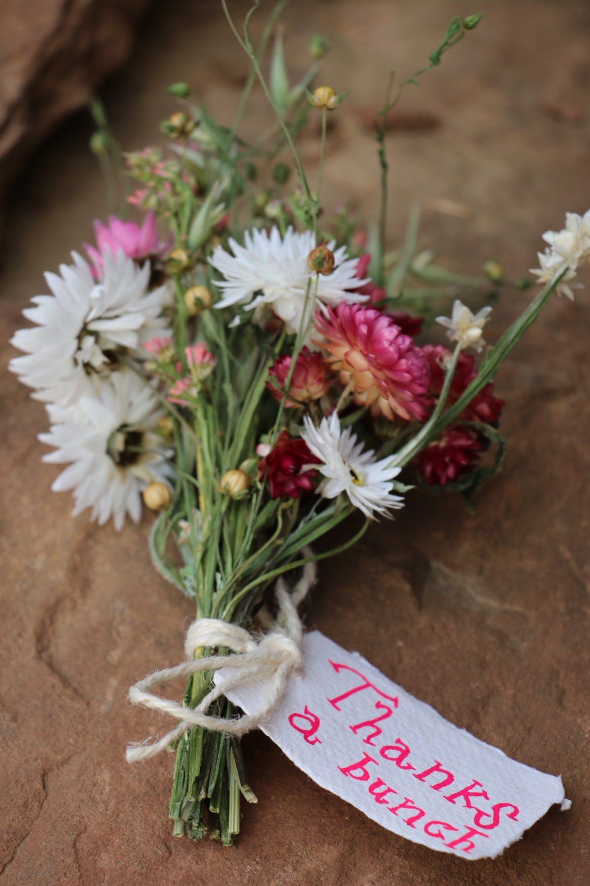 Mini Dried Flower Posy~ with hand painted tag ‘Thanks A Bunch’