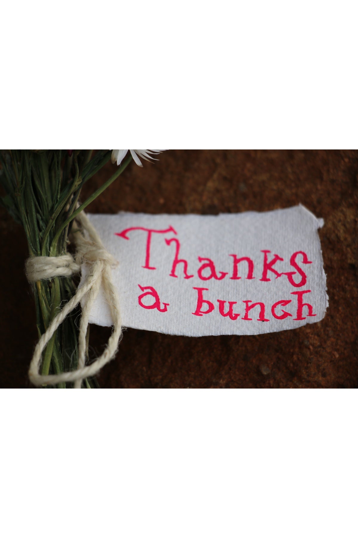 Mini Dried Flower Posy~ with hand painted tag ‘Thanks A Bunch’