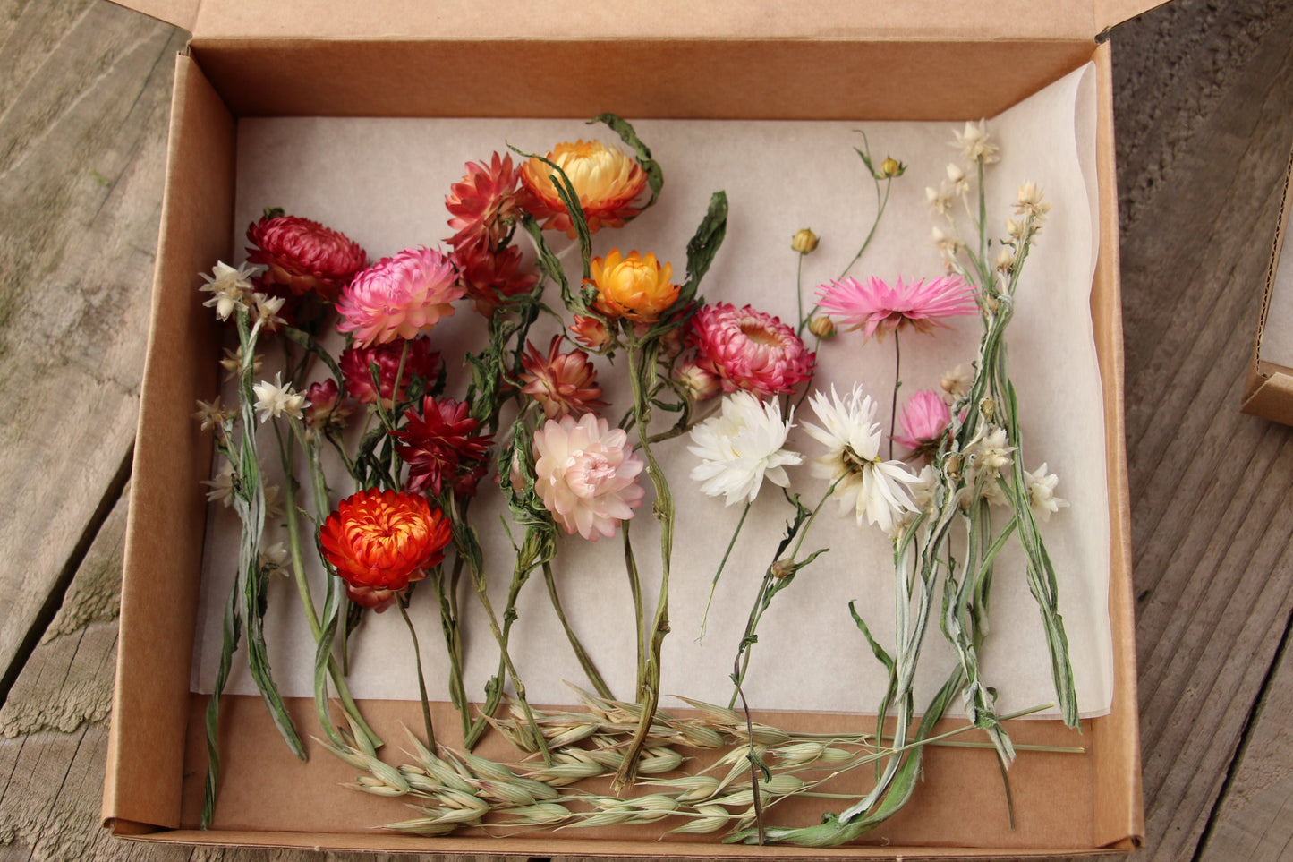 Dried Flower Gift decoration/ craft box small