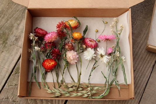 Dried Flower Gift decoration/ craft Box small