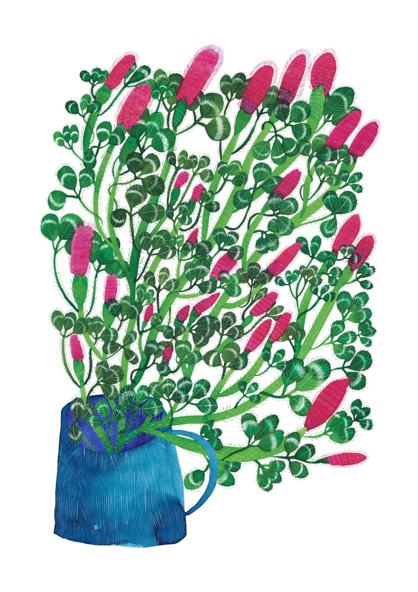 Cup of Crimson Clover Print - Rachel Emberton